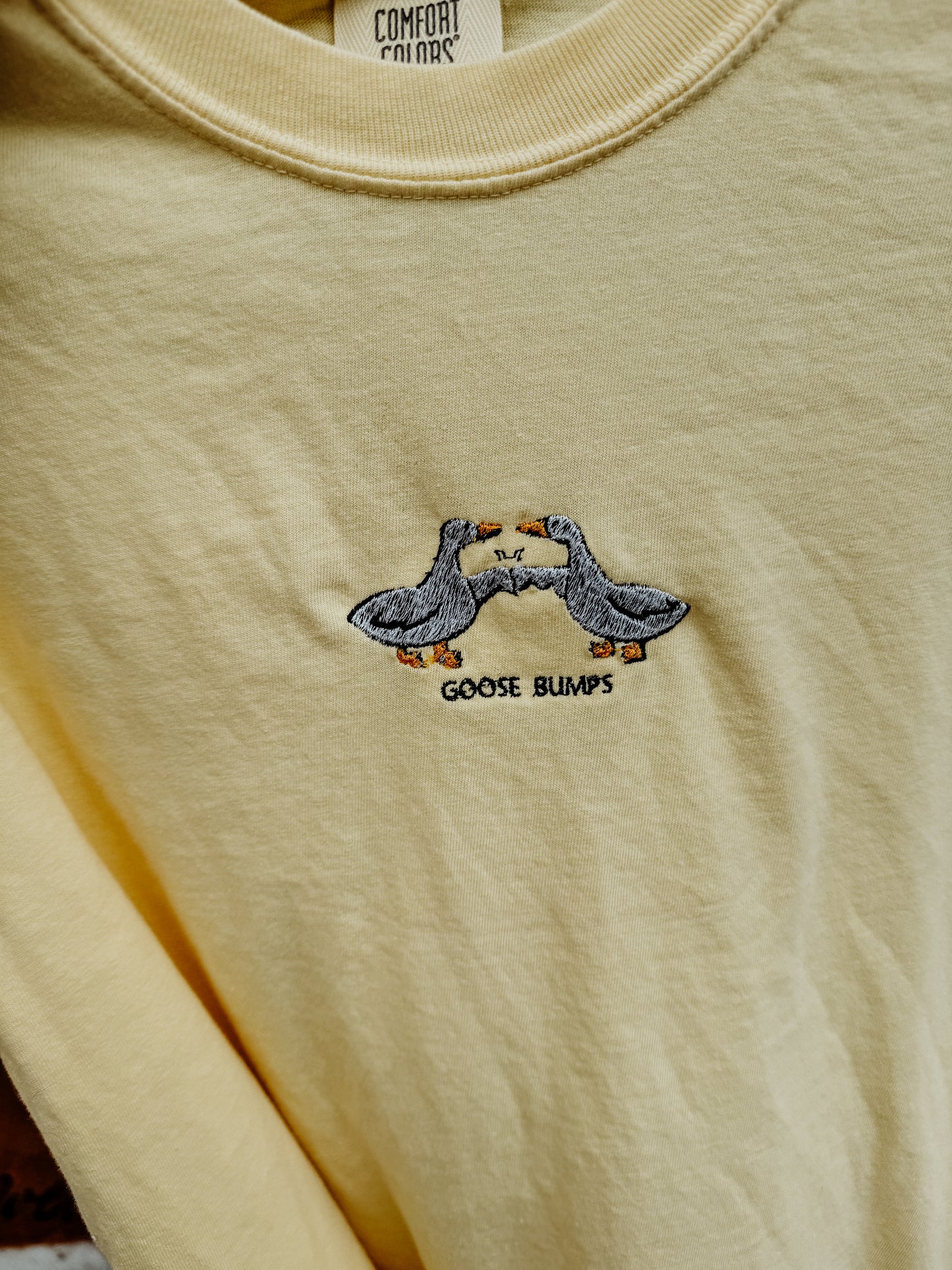 Goose Bumps Embroidered Tee